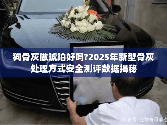 狗骨灰做琥珀好吗?2025年新型骨灰处理方式安全测评数据揭秘
