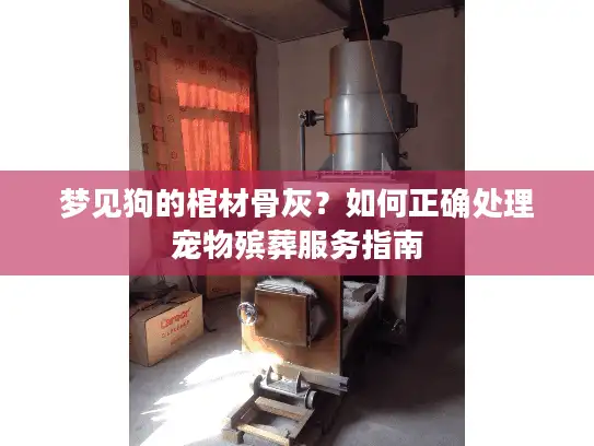 梦见狗的棺材骨灰？如何正确处理宠物殡葬服务指南