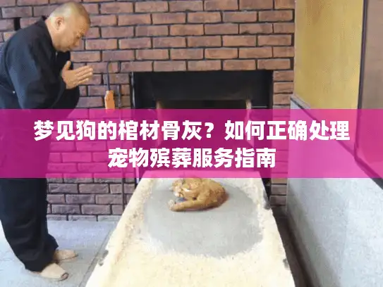 梦见狗的棺材骨灰？如何正确处理宠物殡葬服务指南