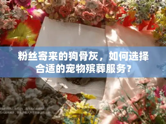 粉丝寄来的狗骨灰，如何选择合适的宠物殡葬服务？