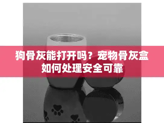 狗骨灰能打开吗？宠物骨灰盒如何处理安全可靠