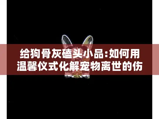 给狗骨灰磕头小品:如何用温馨仪式化解宠物离世的伤痛?