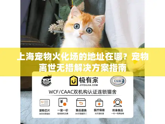 上海宠物火化场的地址在哪？宠物离世无措解决方案指南