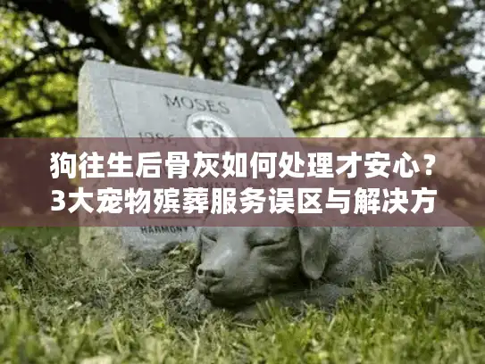 狗往生后骨灰如何处理才安心？3大宠物殡葬服务误区与解决方案