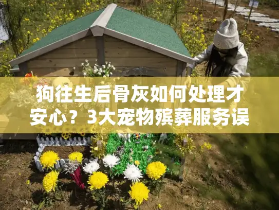 狗往生后骨灰如何处理才安心？3大宠物殡葬服务误区与解决方案