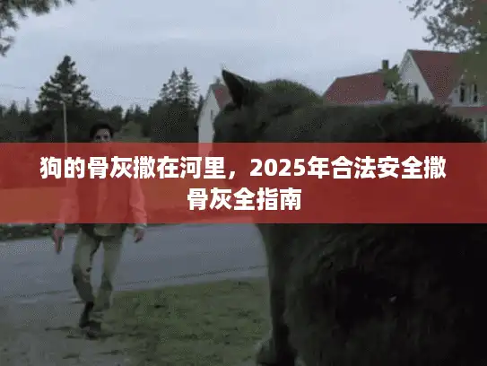 狗的骨灰撒在河里，2025年合法安全撒骨灰全指南