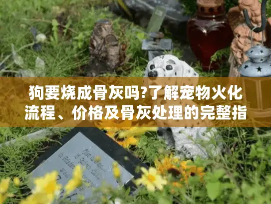 狗要烧成骨灰吗?了解宠物火化流程、价格及骨灰处理的完整指南