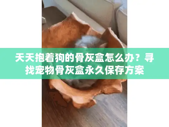 天天抱着狗的骨灰盒怎么办？寻找宠物骨灰盒永久保存方案