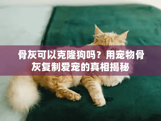 骨灰可以克隆狗吗？用宠物骨灰复制爱宠的真相揭秘