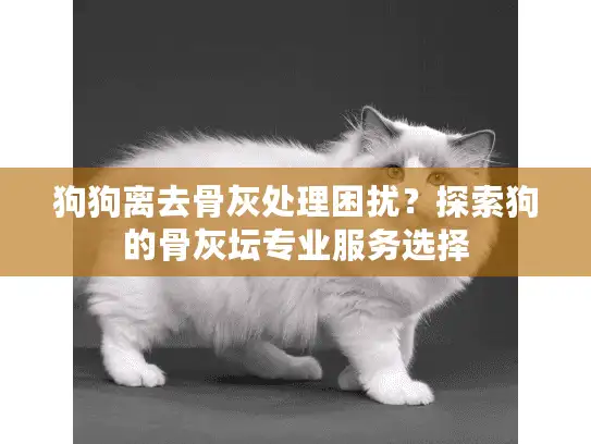 狗狗离去骨灰处理困扰？探索狗的骨灰坛专业服务选择