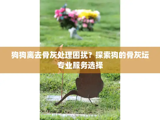 狗狗离去骨灰处理困扰？探索狗的骨灰坛专业服务选择