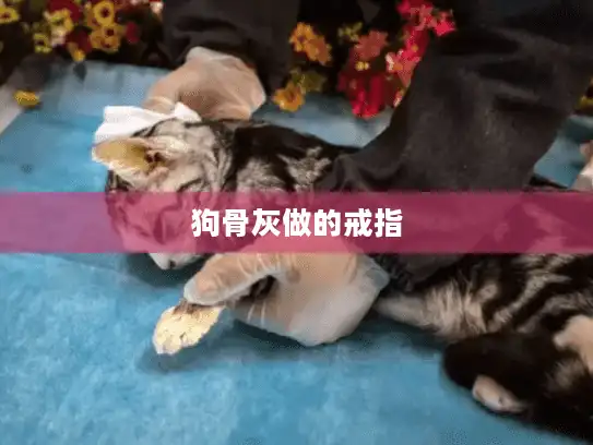 狗骨灰做的戒指