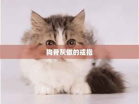 狗骨灰做的戒指