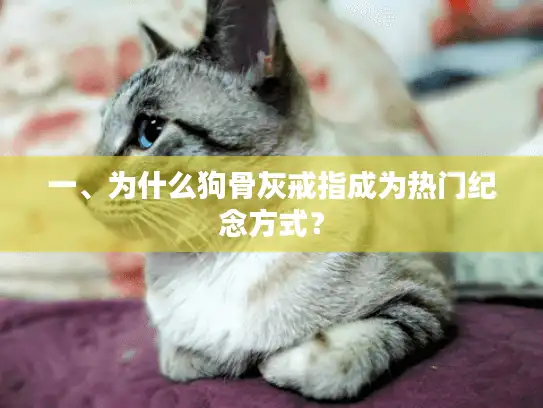 一、为什么狗骨灰戒指成为热门纪念方式？