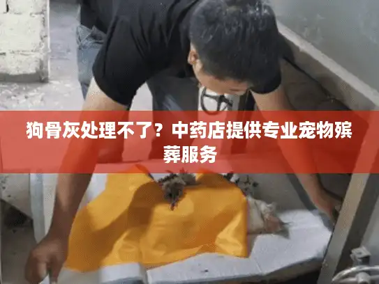 狗骨灰处理不了？中药店提供专业宠物殡葬服务