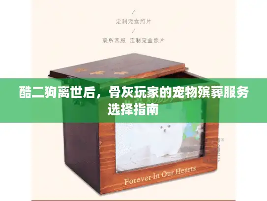 酷二狗离世后，骨灰玩家的宠物殡葬服务选择指南