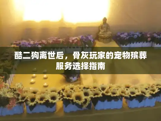 酷二狗离世后，骨灰玩家的宠物殡葬服务选择指南