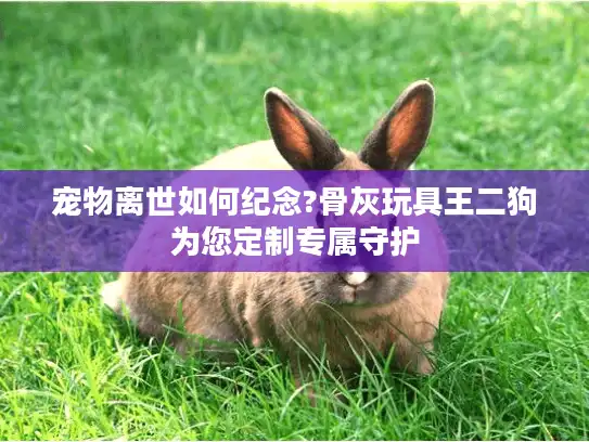 宠物离世如何纪念?骨灰玩具王二狗为您定制专属守护