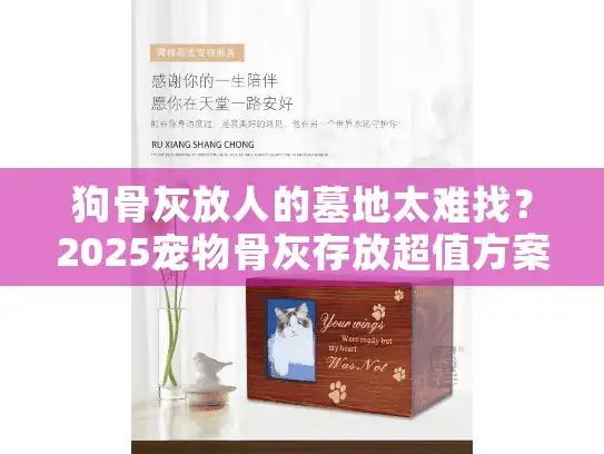 狗骨灰放人的墓地太难找？2025宠物骨灰存放超值方案大揭秘！