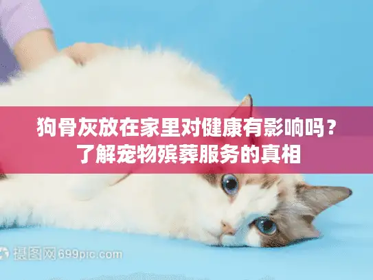 狗骨灰放在家里对健康有影响吗？了解宠物殡葬服务的真相