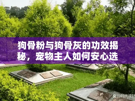 狗骨粉与狗骨灰的功效揭秘，宠物主人如何安心选择专业服务？