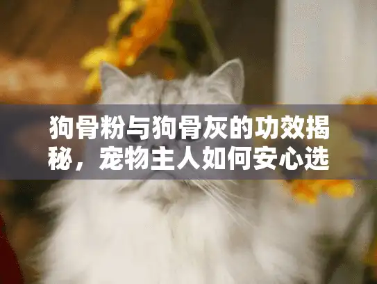 狗骨粉与狗骨灰的功效揭秘，宠物主人如何安心选择专业服务？