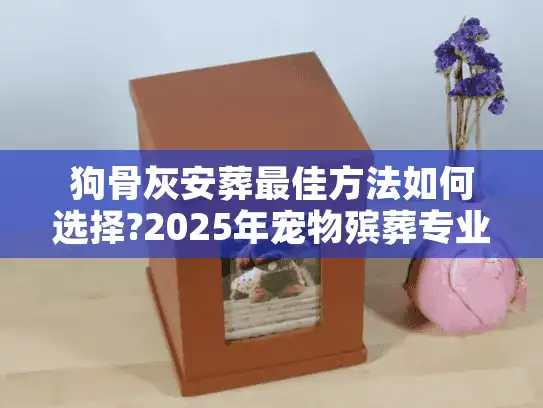 狗骨灰安葬最佳方法如何选择?2025年宠物殡葬专业人士指南