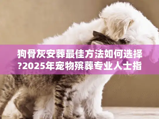 狗骨灰安葬最佳方法如何选择?2025年宠物殡葬专业人士指南