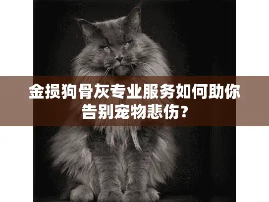 金损狗骨灰专业服务如何助你告别宠物悲伤？