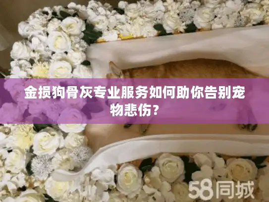 金损狗骨灰专业服务如何助你告别宠物悲伤？