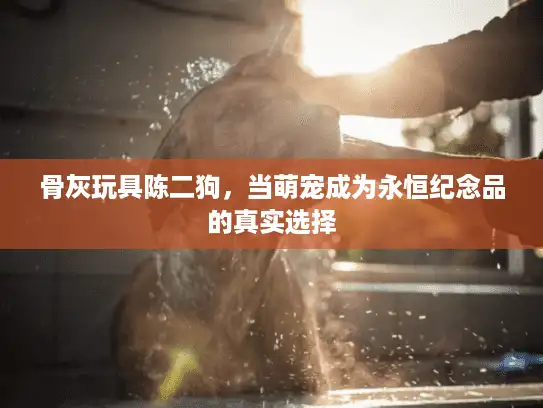 骨灰玩具陈二狗，当萌宠成为永恒纪念品的真实选择