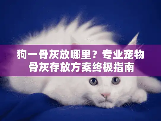狗一骨灰放哪里？专业宠物骨灰存放方案终极指南