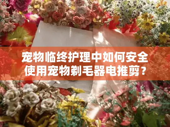 宠物临终护理中如何安全使用宠物剃毛器电推剪？