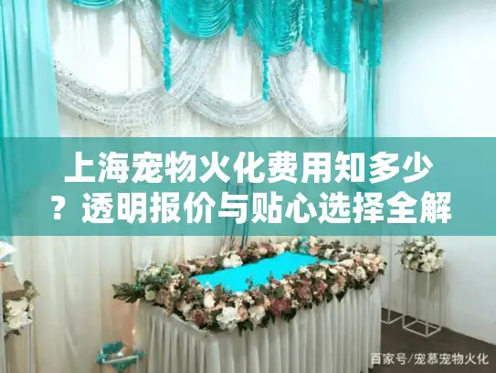 上海宠物火化费用知多少？透明报价与贴心选择全解析