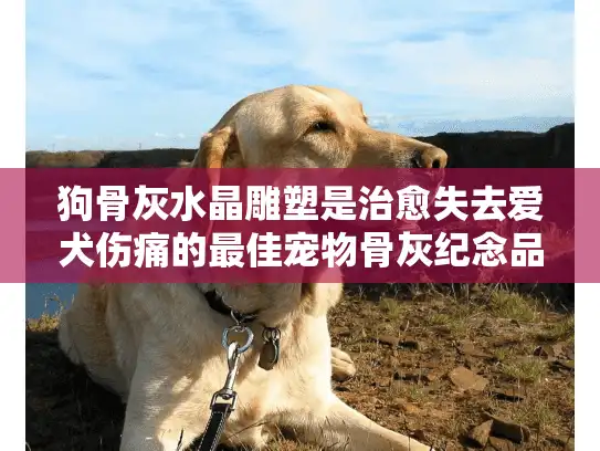 狗骨灰水晶雕塑是治愈失去爱犬伤痛的最佳宠物骨灰纪念品定制方案吗？