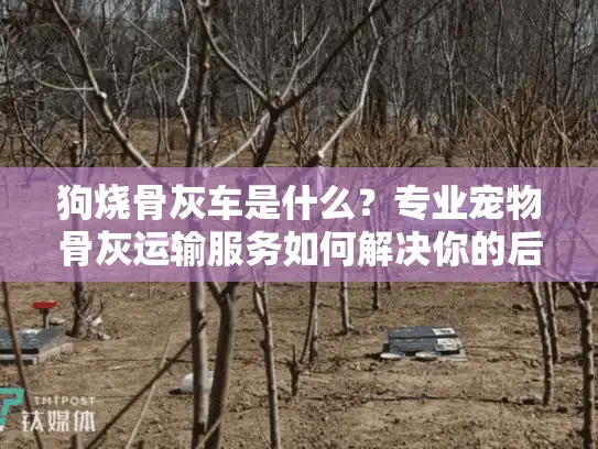 狗烧骨灰车是什么？专业宠物骨灰运输服务如何解决你的后顾之忧？