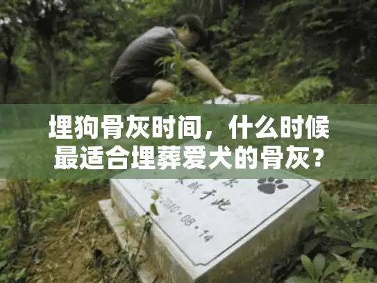 埋狗骨灰时间，什么时候最适合埋葬爱犬的骨灰？