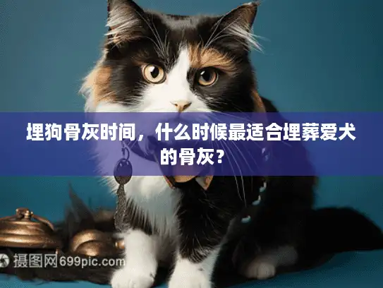 埋狗骨灰时间，什么时候最适合埋葬爱犬的骨灰？