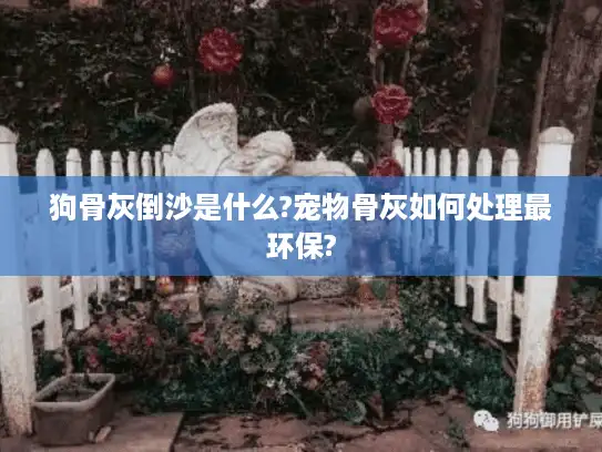 狗骨灰倒沙是什么?宠物骨灰如何处理最环保?