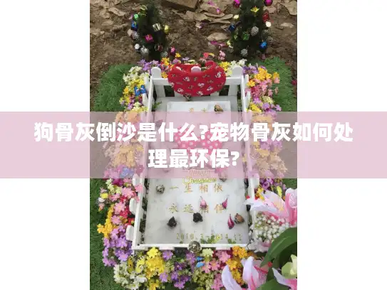 狗骨灰倒沙是什么?宠物骨灰如何处理最环保?