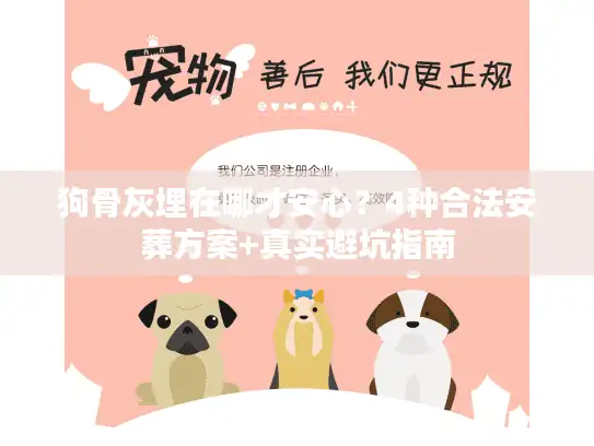 狗骨灰埋在哪才安心？4种合法安葬方案+真实避坑指南