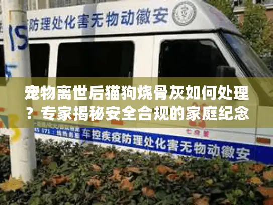 宠物离世后猫狗烧骨灰如何处理？专家揭秘安全合规的家庭纪念方案