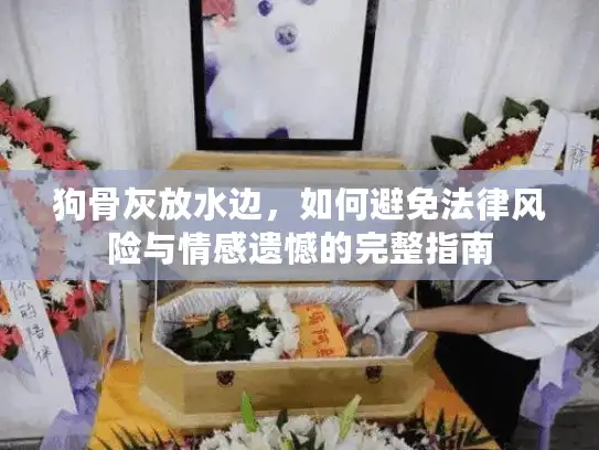 狗骨灰放水边，如何避免法律风险与情感遗憾的完整指南