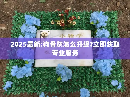 2025最新:狗骨灰怎么升级?立即获取专业服务