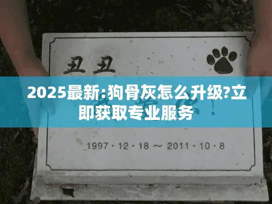 2025最新:狗骨灰怎么升级?立即获取专业服务