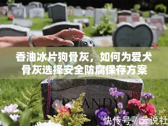 香油冰片狗骨灰，如何为爱犬骨灰选择安全防腐保存方案