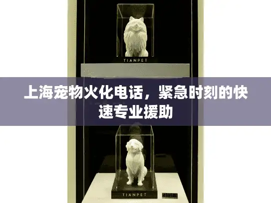 上海宠物火化电话，紧急时刻的快速专业援助