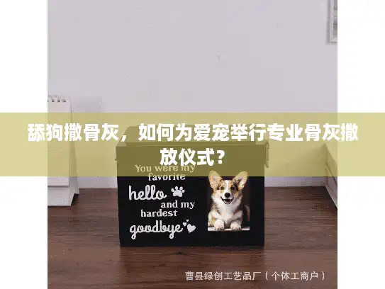 舔狗撒骨灰，如何为爱宠举行专业骨灰撒放仪式？