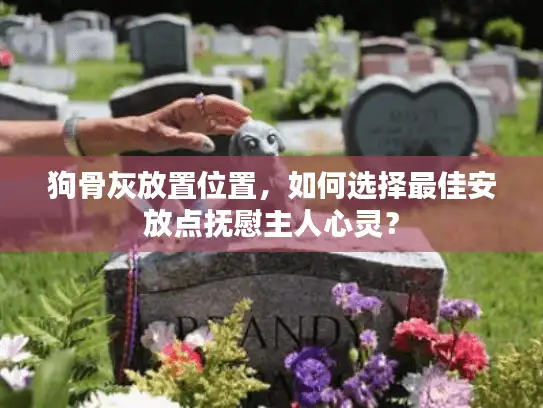 狗骨灰放置位置，如何选择最佳安放点抚慰主人心灵？