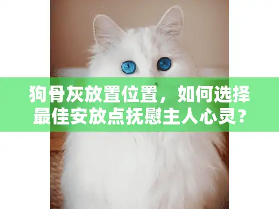 狗骨灰放置位置，如何选择最佳安放点抚慰主人心灵？